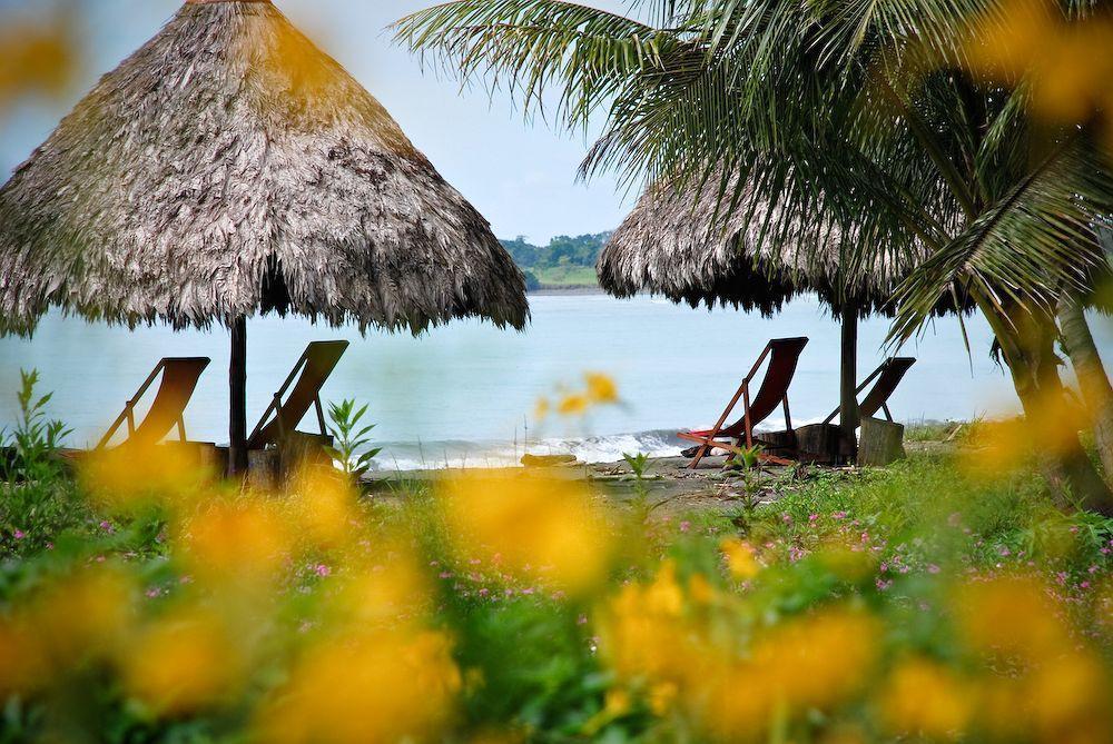 Iguana Lodge Beach Resort Puerto Jiménez Exteriér fotografie