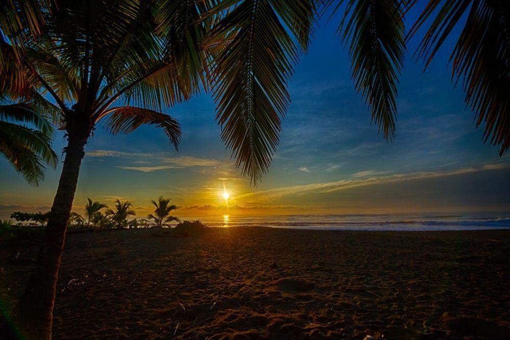 Iguana Lodge Beach Resort Puerto Jiménez Exteriér fotografie