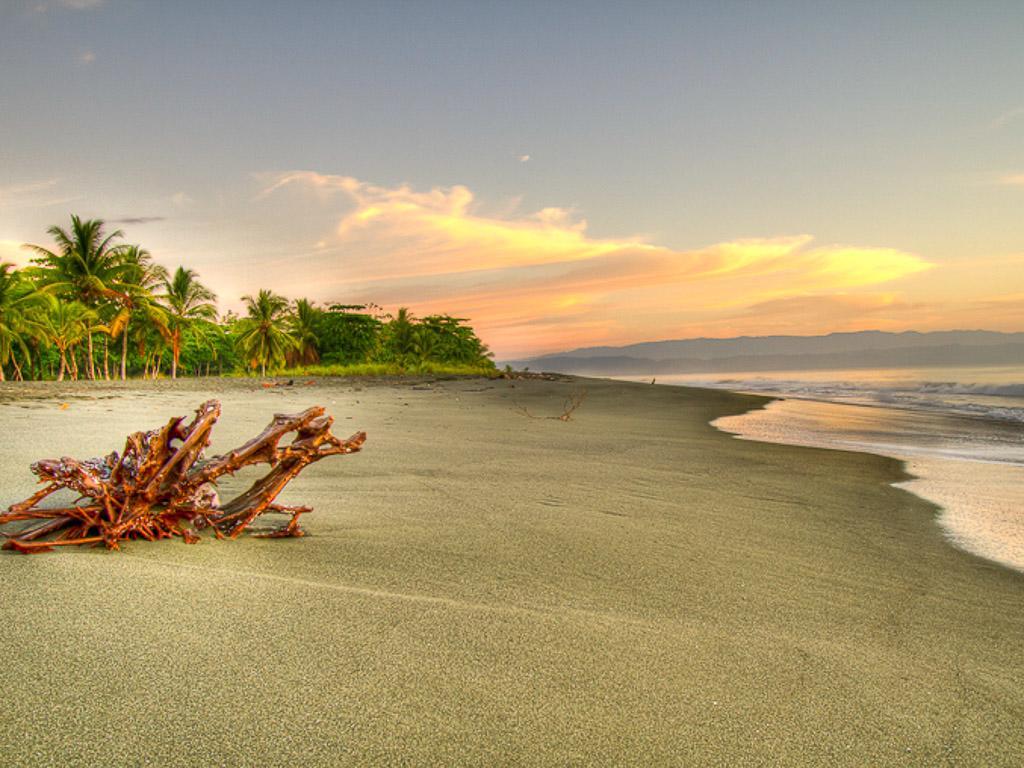 Iguana Lodge Beach Resort Puerto Jiménez Exteriér fotografie